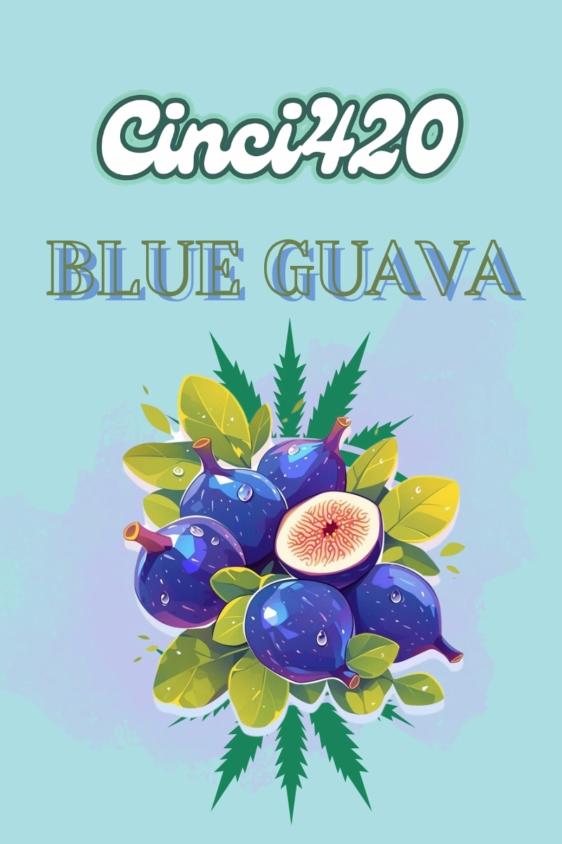Blue-Guava