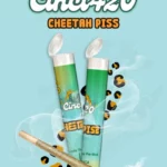 Cheetah Piss