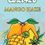 Mango-Haze