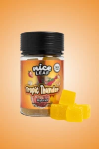 Tropic-Thunder