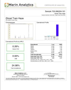 Ghost Train Haze - Image 2