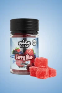 Berry-Blast