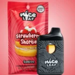 Strawberry-Shortie